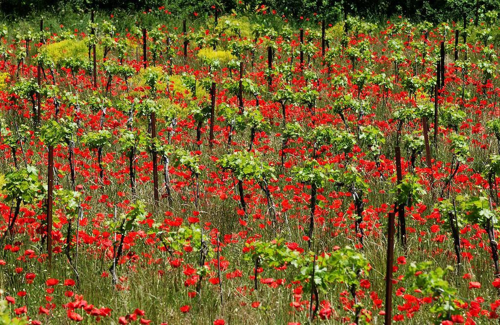 Une Campagne En Provence Bras Exterior foto
