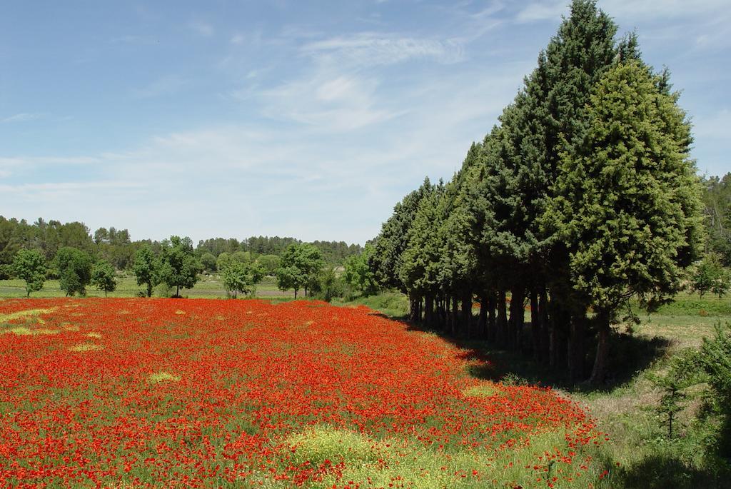 Une Campagne En Provence Bras Exterior foto