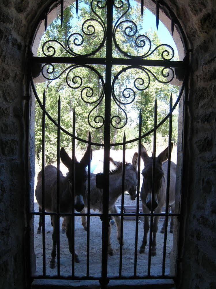 Une Campagne En Provence Bras Exterior foto